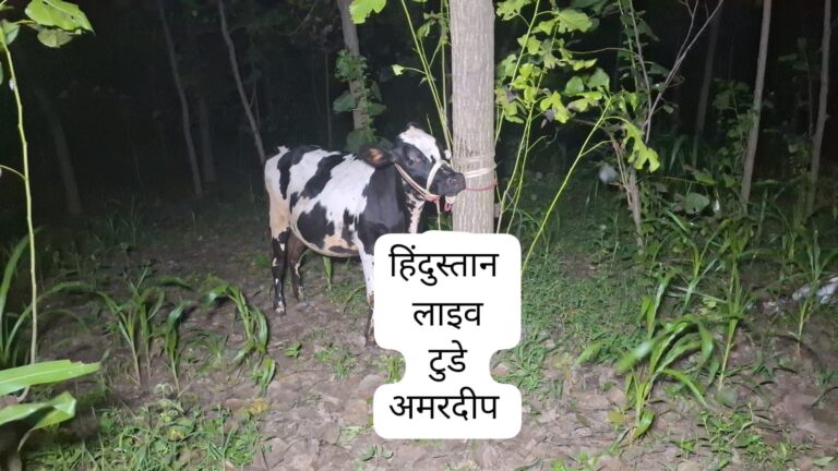 गौकशी की कोशिश नाकाम, तीन अन्य बदमाश भी गिरफ्तार